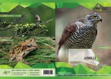 Sešit 440 A4 40 listů čistý Azorella, Jestřáb