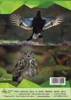 Sešit 544 A5 40 listů linka Azorella, Ledňáček_3 (2)