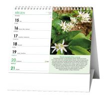 Stolní kalendář - IDEÁL - Léčivé rostliny (1)