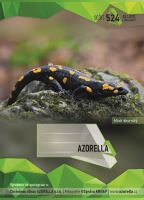 Sešit 524 A5 20 listů linka Azorella, Mlok