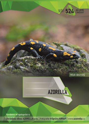 Sešit 524 A5 20 listů linka Azorella, Mlok