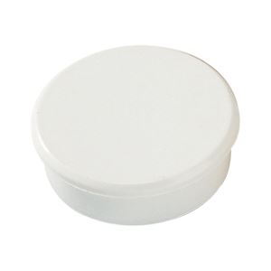 Magnet 13 mm bílý zalitý v plastu 