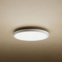 Xiaomi Mi Smart LED Ceiling Light D20