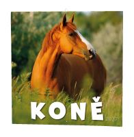 Nástěnný kalendář - Koně (2)