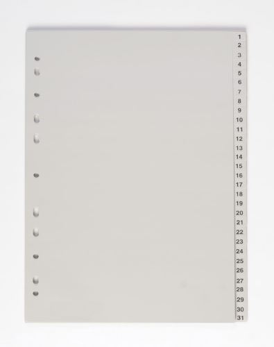 Rejstřík -rozdružovač A4, 1-31 PP 120my