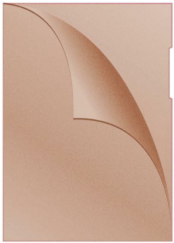 DONAU zakládací obal, A4, L, matný, PP, 120 µm, oranžový