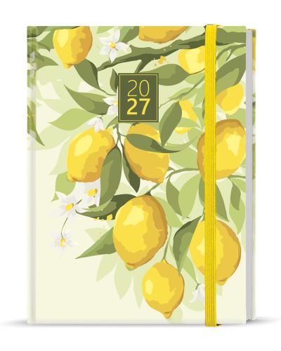 Týdenní diář - Prokop - Lamino - B6 - Citron