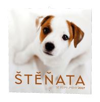 Nástěnný kalendář - Štěňata (2)